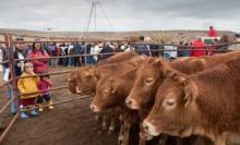 Cantalojas-Mercado02-330x200