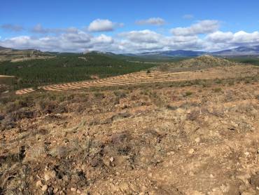 Aterrazazmiento 1 Alcorlo