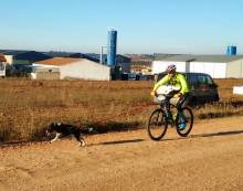 IMG-20171105-WA0014-1