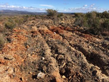 Vegetacion destruidas alcorlo