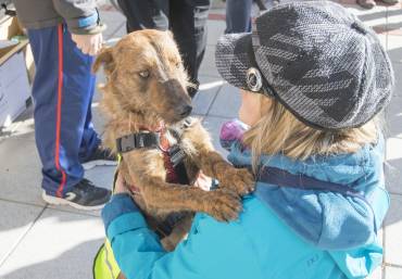 Jornada Canina en Cabanillas 10