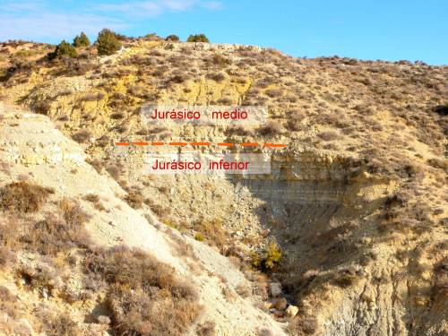 Fuentelsaz Stratotype