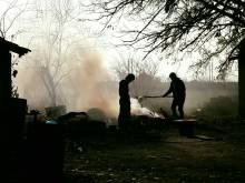 refugiados en serbia