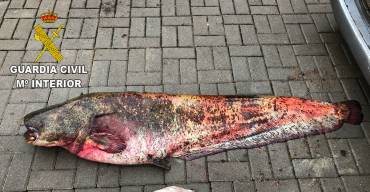 2018-03-06 Prensa Sirulo