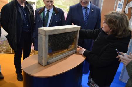 Feria-Pastrana-colmenas