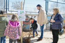 plantación maestra plácida 2