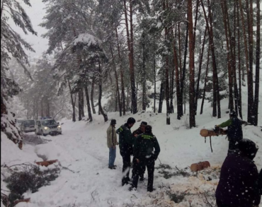 Gcivil-temporal-nieve