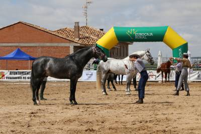 ecualtur-concurso-morfologico-2