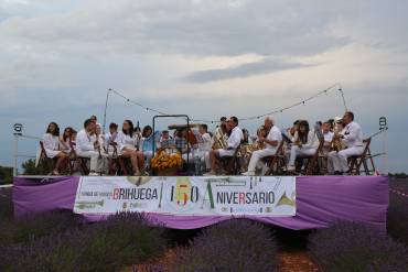 Banda-Brihuega-Lavanda