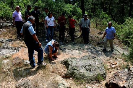 Bosque fosil-Geoparque