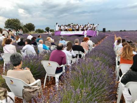 concierto-Brihuega-Banda