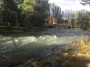 caudal-tajo-18junio-4