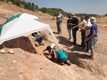 yacimiento cretácico superior Sacedón