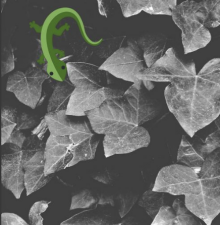 Captura de pantalla 2018-08-03 a las 16.37.16