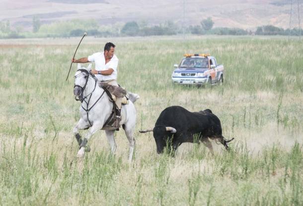 Encierro por el Campo 21