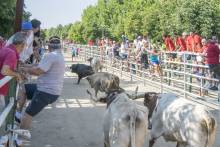 Encierro El Gallardo 5