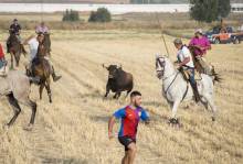 marchamalo-encierro-campo