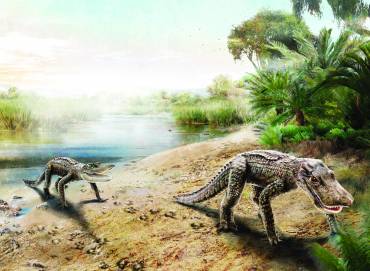 cocodrilos-cretacicos-tamajon