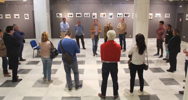 exposición Caballada 02