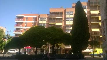 GU-CIPRÉS Y MORERA 4-10-2018