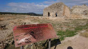 20181115 PHOTO-2018-11-15-13-47-39