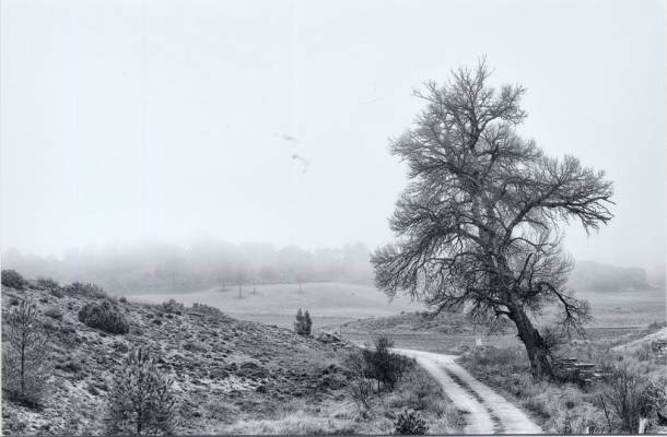 Premio fotografía provincial III Diputación Guadalajara 2018