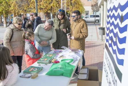 Hogar Amigo en Cabanillas 6