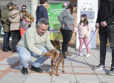 Hogar Amigo en Cabanillas 8