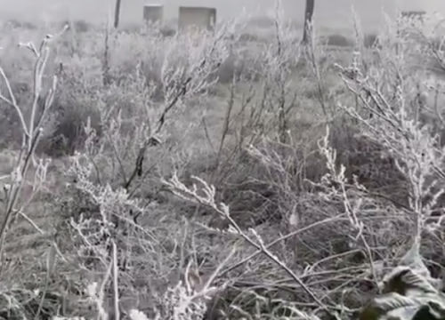 Captura de pantalla 2019-01-18 a las 10.58.24