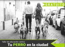 Taller-perros