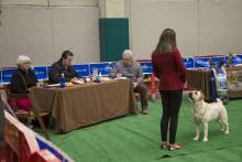 monografica-labrador-trillo-2019-04