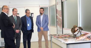 visita Grupo Vall Companys 02