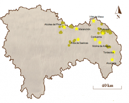 alondra-mapa-guadalajara
