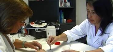 Foto picaduras avispas 1