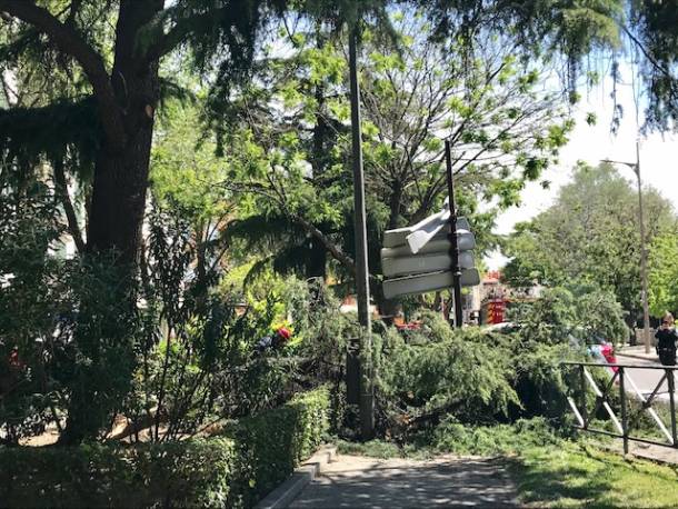 bomberos-ramas-caidas