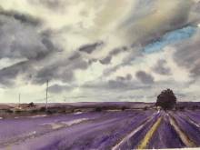 acuarelas-brihuega-lavanda