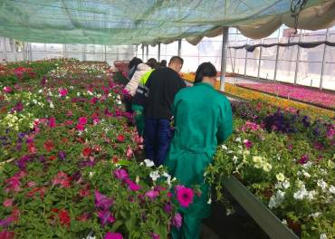 formación fp trabajadores