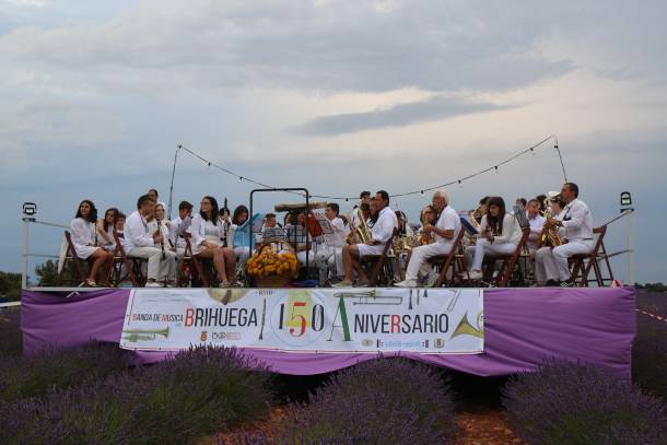 Banda-Brihuega-Lavanda