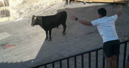 Captura de pantalla 2019-08-19 a las 14.23.37