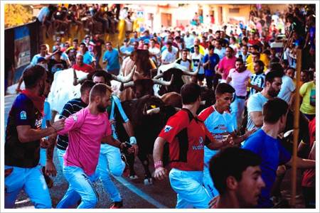 Premio-encierro-brihuega