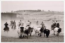 Primer-Premio-Toroalcarria
