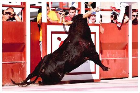 Tercer-premio-toroalcarria