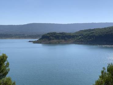 Entrepenas agosto 2020