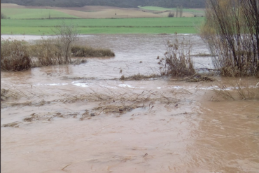 Captura de pantalla 2020-03-18 a las 12.38.42
