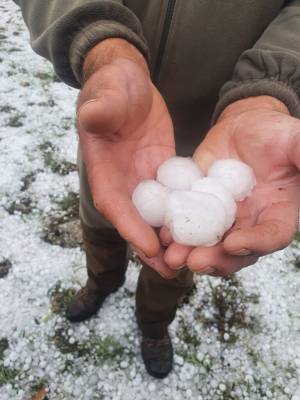 Carabias-y-Palazuelos-1-768x1024
