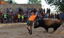 Suelta de reses en Yebes