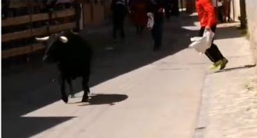 Almoguera-encierrros