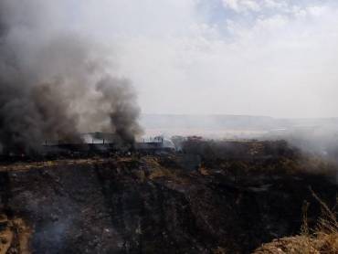 chiloeches-planta-incendiada