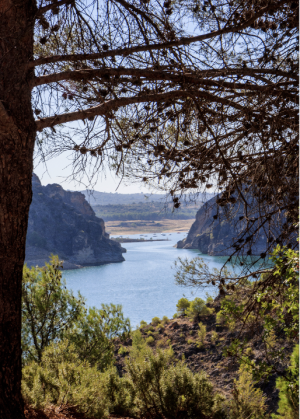 boca infierno sacedon entrepenas 2020