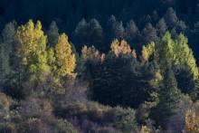 ParqueNaturalAltoTajo DSC9000